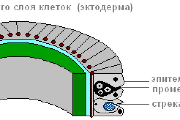 Как открыть кракен