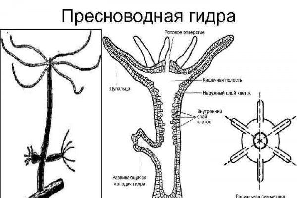 Kraken маркетплейс kr2web in